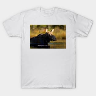 Swimming with Moose - Algonquin Park, Canada T-Shirt